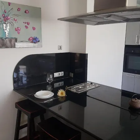 Fenix Villa *